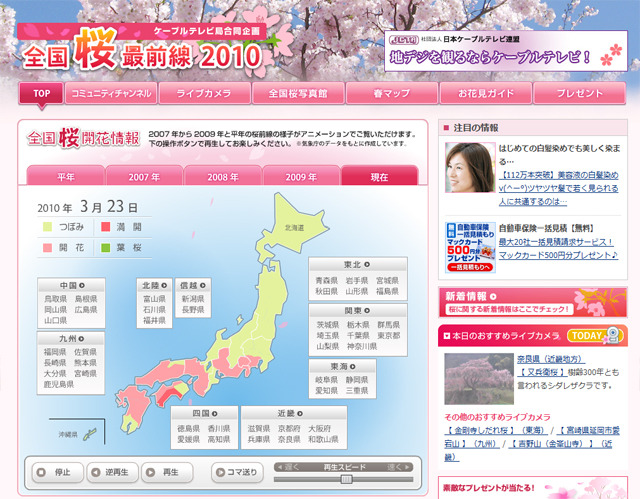 全国桜最前線