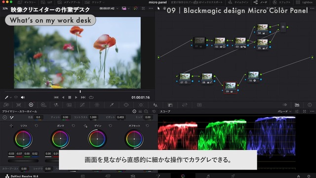 DaVinci Resolveでカラーグレーディングする時に便利（C）JEMMA's style. / じぇますた。