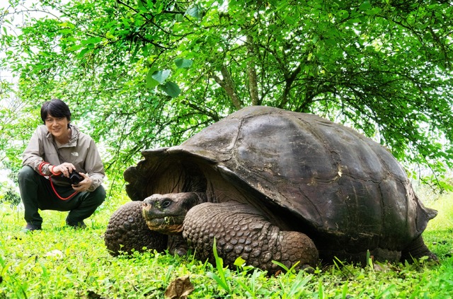 ２００歳を超えることもあるというガラパゴスゾウガメは、とにかく巨大だ。（C）NHK