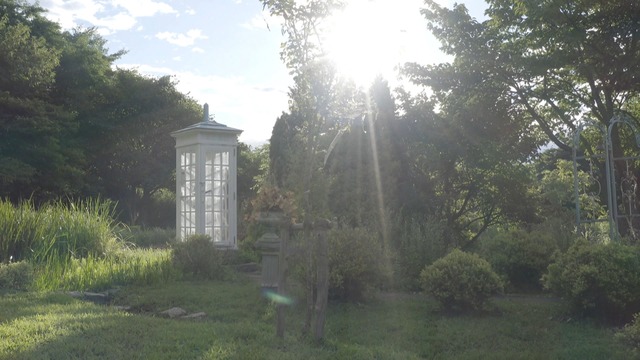 風の電話ルーズ『それからの、風の電話』（C）NHK