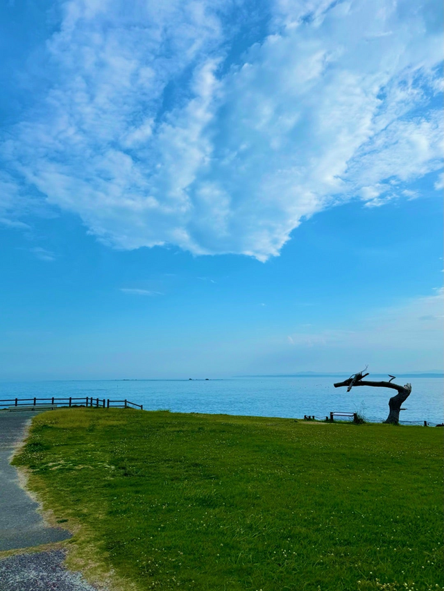 画像は小松彩夏公式ブログより