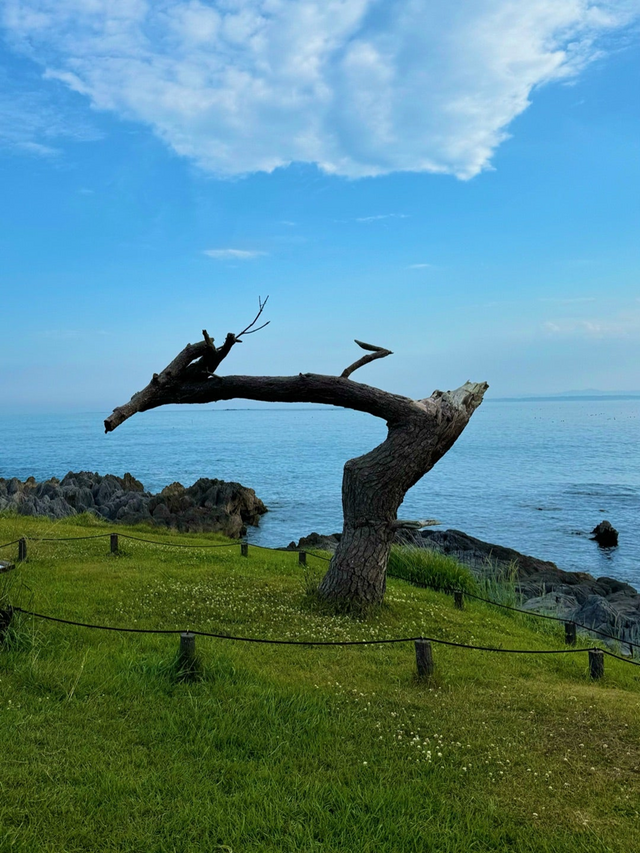 画像は小松彩夏公式ブログより