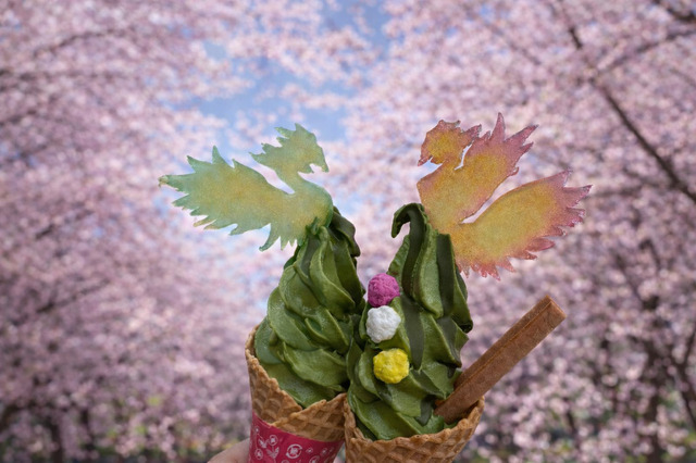 鳳凰喜撰ソフト　700円