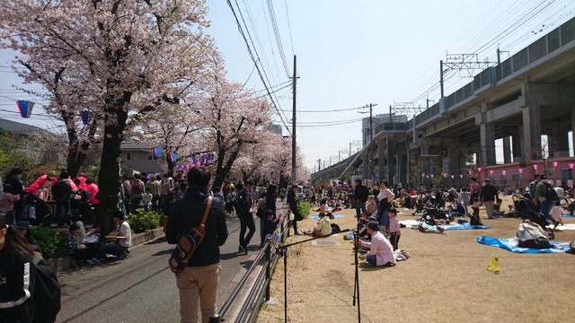 西南さくら祭り
