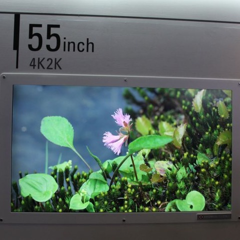 【FPD International 2013】かなりきれい! パナソニックの55型4K2K対応 IPSディスプレイ 画像