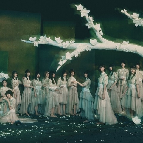 誰も知らない渡邉理佐の素顔が満載!櫻坂46・4thシングル特典映像の予告編が公開 画像