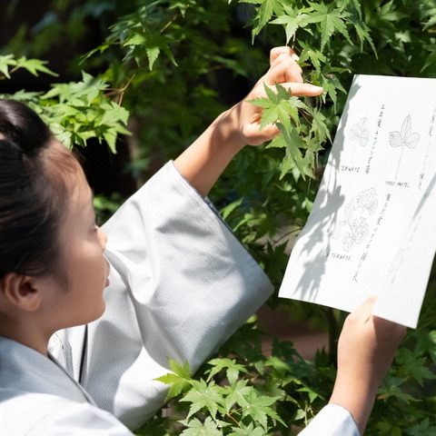 万太郎、小学校を自主退学!「小学校中退」がトレンドワードに…神木隆之介も登場『らんまん』第10話 画像