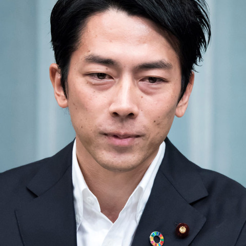 小泉進次郎、兄・孝太郎の秘書になり「支えようと思っていた」 画像
