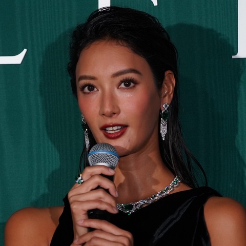菜々緒、今後の抱負は「ジュエリーのように磨きをかけて・・・」 宮澤エマ・吉田羊らとドレスアップ姿を披露 画像