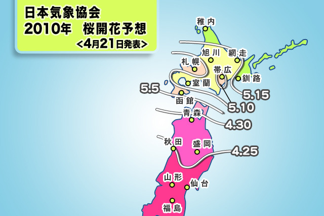 GW中は桜真っ盛り！　弘前市で4月27日、津軽海峡渡って札幌市5月8日開花 画像