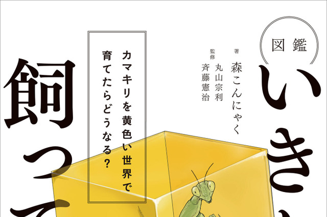 登録者46万人超の生き物系YouTuber・森こんにゃくの初書籍が発売！Amazonランキング1位獲得 画像