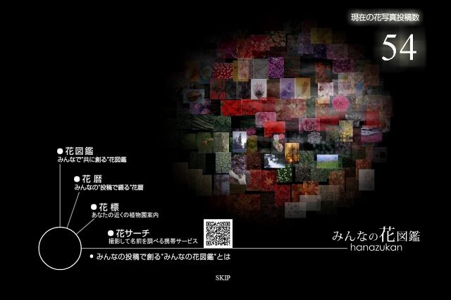 NTT、「みんなの花図鑑」β版を開始 ～ 携帯電話撮影で花の名前が分かるサービスも 画像