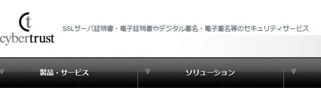iPadが業務用端末に――「サイバートラスト デバイスID」がiPad対応に 画像