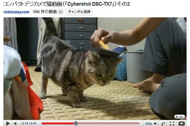 【コンパクトデジカメで猫動画 Vol.4】フルハイビジョンの猫（その1） 画像