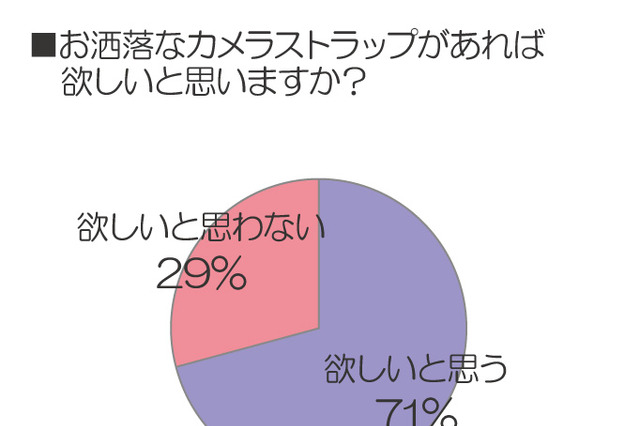 男女500人に聞いた、カメラアクセサリーに関する実態調査 画像