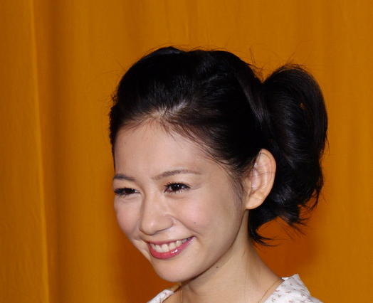 三洋電機、12セグ内蔵PND「ゴリラ」発売…業界最薄・最軽量 画像