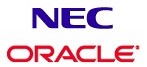 NECと日本オラクル、中規模向け高速インメモリ型DWHソリューションを提供開始 画像