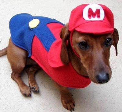 犬のコスプレ集……海外ゲームファンがハロウィン用に!! 画像