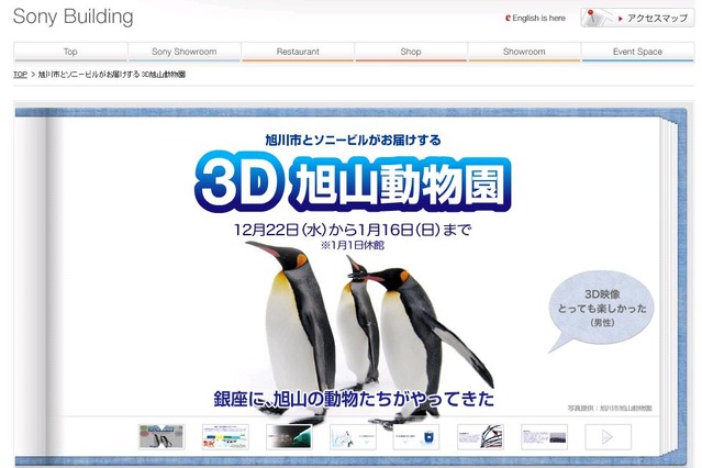 野生に近い動物の姿を大画面3Dで!……3D旭山動物園が銀座ソニービルで今日から開催 画像