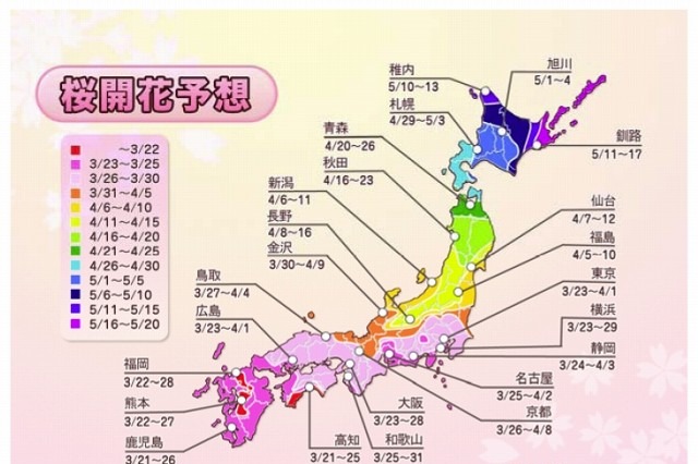 2011年桜開花「鹿児島・高知3月21日」、東西日本でやや遅め……ウェザーニューズ、第一回予想 画像
