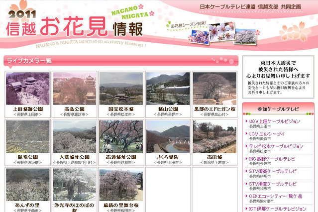 長野県、新潟県の桜スポットをライブカメラでチェック「2011信越お花見情報」 画像