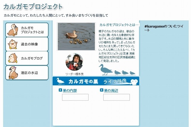 NECとBIGLOBE、インターネットでカルガモの生態を生中継……Webカメラを設置 画像