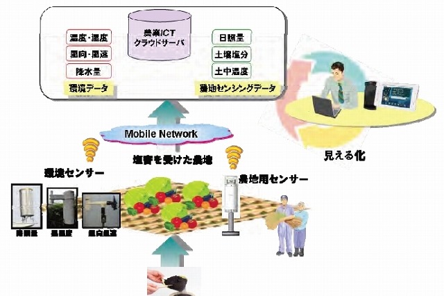【地震】マイファーム×ドコモ×NEC、塩害を受けた農地の復興支援事業で業務提携 画像