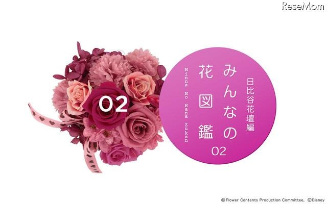 ドコモのAndroid向け図鑑アプリに日比谷花壇の季節のお花 画像