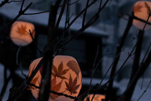 「小樽雪あかりの路」はじまる！幻想的なオブジェで観光客を魅了 画像