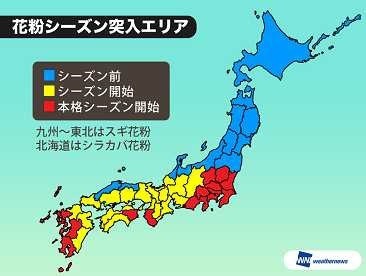 東京都、今日から本格的に花粉シーズン突入 画像