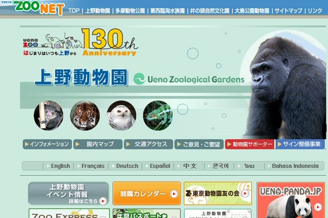 ジャイアントパンダ舎のライブ映像が配信予定！ 画像