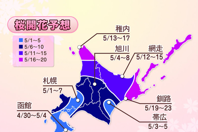 都心の桜が今週末開花、来週末には満開に！……ウェザーニューズ、第四回開花予想発表 画像