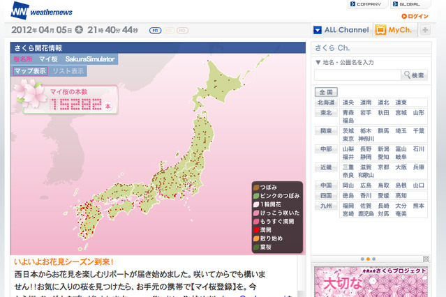 桜の開花いよいよ本番！ 関東地方は今週末から見ごろに  画像