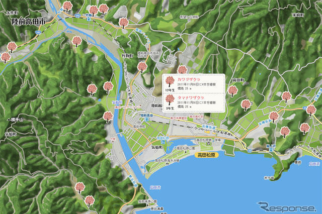 マピオン、「桜ライン311プロジェクト応援マップ」を公開……陸前高田の取組みを応援 画像