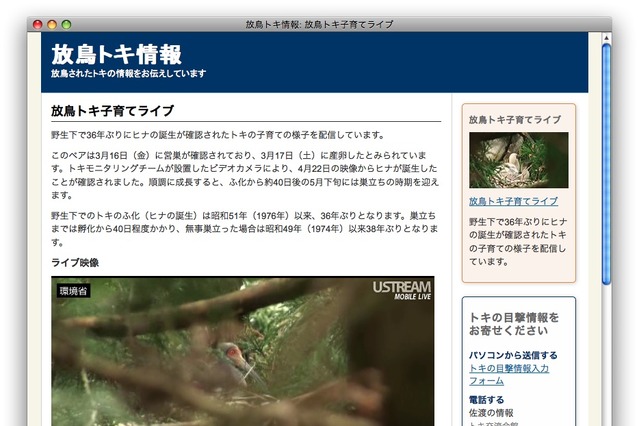 放鳥トキ子育て、ライブ映像を配信 画像
