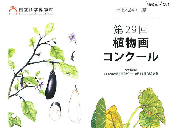 小中高生対象の植物画コンクール……国立科学博物館 画像