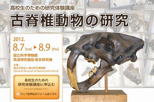 【夏休み】脊椎動物の化石の研究法を学ぶ 画像