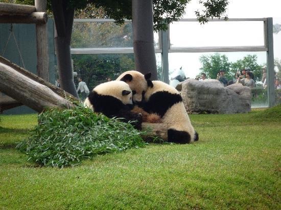 行ってよかった動物園＆水族館ランキング、王者「旭山動物園」が2位降格！1位は!? 画像