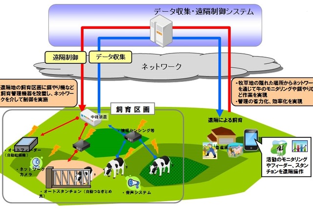 NTT西日本と九大、ICTを活用した牛放牧における遠隔地管理システムを共同研究 画像