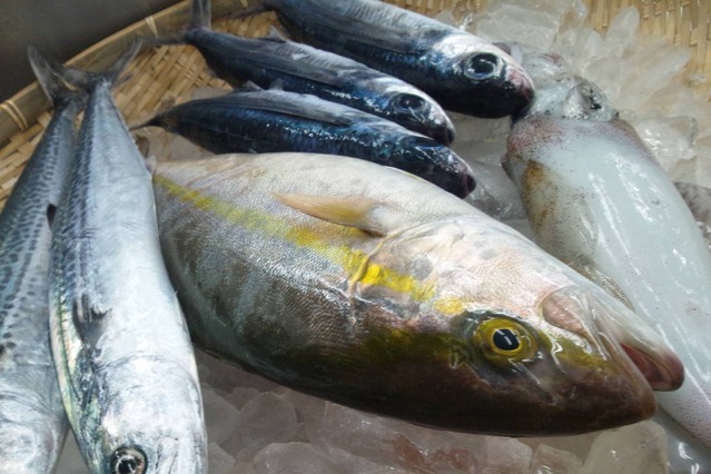 ネットで漁を中継しその場で販売！鳥取県漁業協同組合が参加 画像