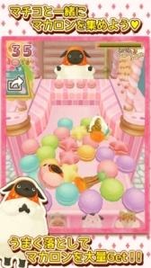 「やんやんマチコ」スマートフォン向けアプリ発売　DVD第2弾も発売中 画像