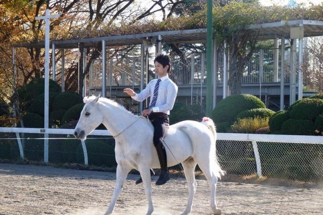 馬に親しむ日　1月20日 画像