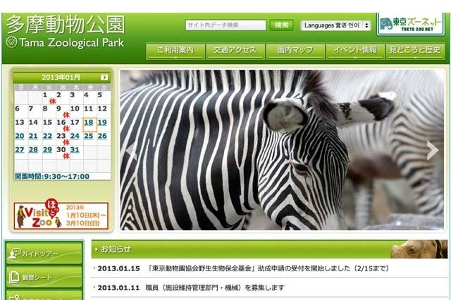南極昭和基地からのライブ中継「南極授業」 2月11日 画像