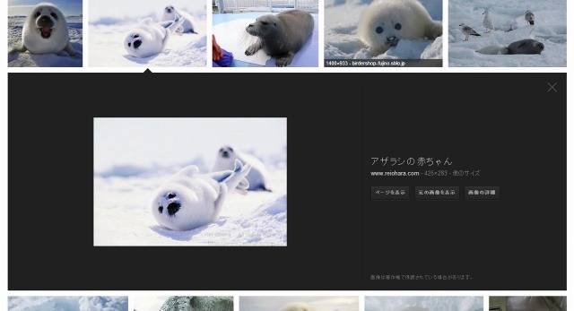 Google、画像検索のデザインを刷新……プレビューが拡大表示されるように変更 画像