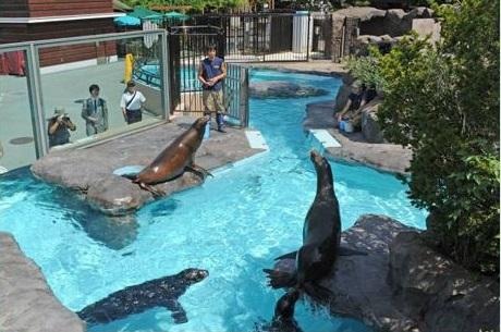 【春休み】動物園・水族園でイベント満載 画像