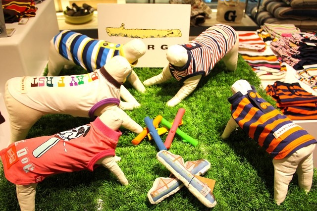 「犬と暮らす」CREATOR'S DOG LIFE 画像