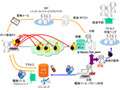 総務省と経産省、ボットに感染したユーザ6千人を特定し注意を呼びかけ 画像