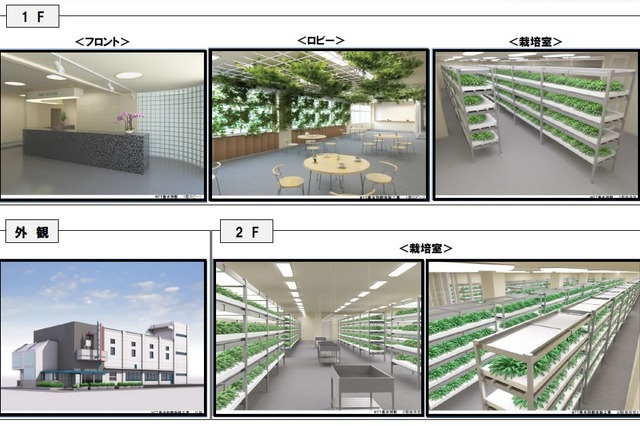 NTT西、水耕栽培によるレンタル農園「みえーるエコ畑」を開園 画像