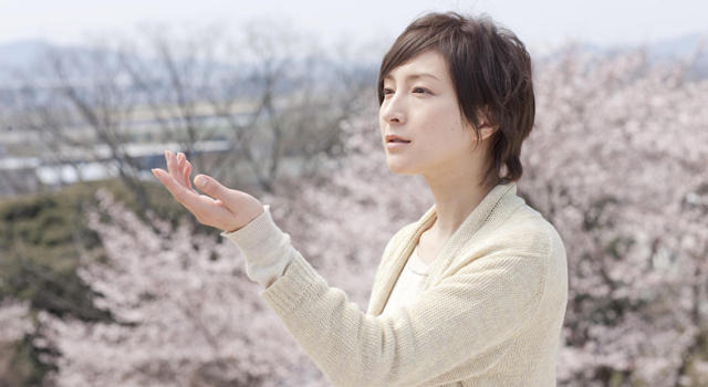 映画でお花見？　スクリーンに咲く“桜映画” 画像