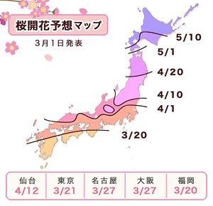 「お天気ナビゲータ」で全国約900ヶ所のお花見スポットの開花・満開予測を開始 画像
